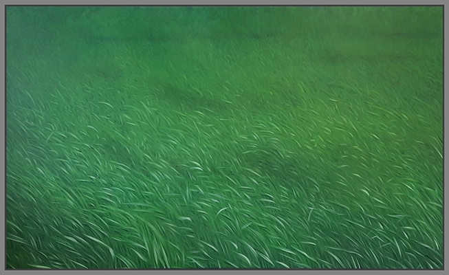 Maximilian Ostermann  | Windige Wiesen	200cm x 120cm	2009