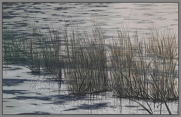 Maximilian Ostermann  |  Seegras	120cm x 80cm	2016