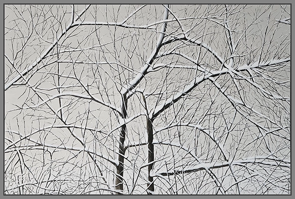 Maximilian Ostermann  |  Schneebäume	140cm x 95cm	2018