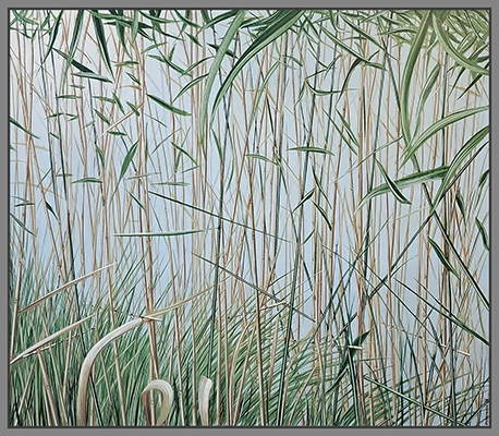Maximilian Ostermann  |  Bambus	110cm x 95cm	2018