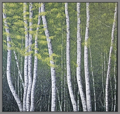Maximilian Ostermann  |  Birkenwald im Frühling	95cm x 90cm	2020