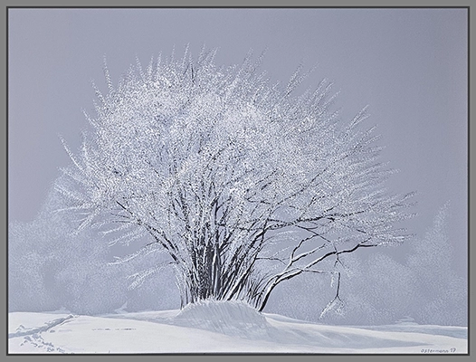 Maximilian Ostermann  |  Wintersonne	105cm x 75cm	2017