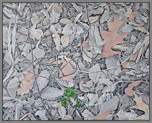 Maximilian Ostermann  |  Fürther Stadtwald	90cm x 95cm	2021